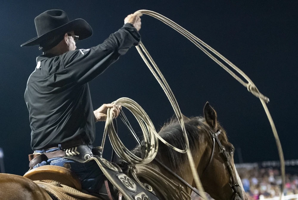 Rodeo