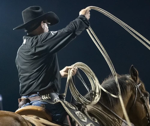 Rodeo